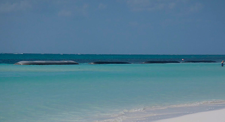 geotuboss (2018_10_08 13_33_54 UTC).jpg